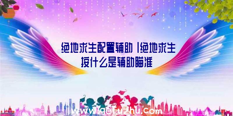 「绝地求生配置辅助」|绝地求生按什么是辅助瞄准